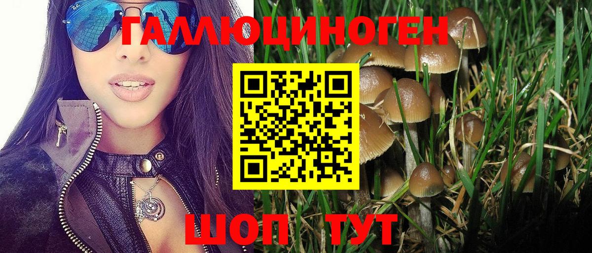 Псилоцибиновые грибы GOLDEN TEACHER Георгиевск