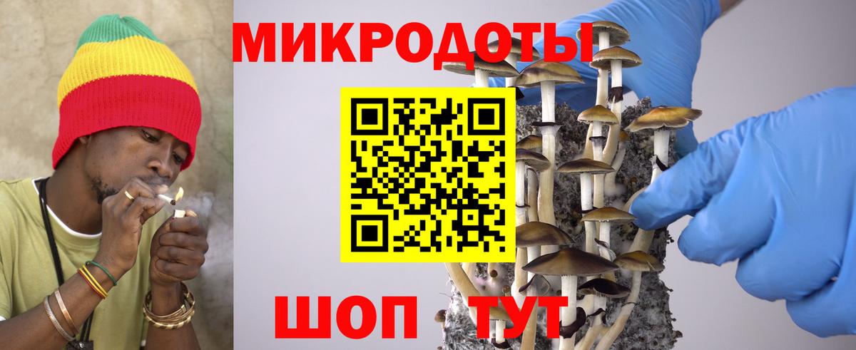 Георгиевск  Псилоцибиновые грибы Cubensis  Вход с VPN 
